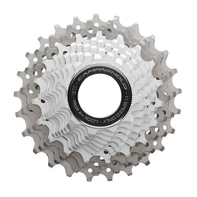 Campagnolo Record 11sp Cassette - love-cycling-tech